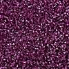 MIYUKI Delica Beads SEED-X0054-DB2162-3