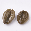 Spray Paint Cowrie Shell Beads X-SHEL-S274-26A-1