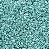MIYUKI Delica Beads SEED-X0054-DB1567-3