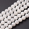 Natural Howlite Beads Strands X-G-G770-06-1