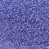 MIYUKI Delica Beads X-SEED-J020-DB0243-1