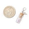 Natural Amethyst Chips inside Glass Wishing Bottle Pendant Decoration HJEW-JM03306-04-3