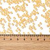 12/0 Transparent Glass Seed Beads X-SEED-F003-03C-01-4