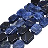 Natural Sodalite Beads Strands G-K245-J15-01-1