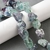 Natural Fluorite Beads Strands G-S386-C09-1