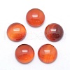 Natural Carnelian Cabochons X-G-P393-R41-12mm-1