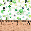 Glass Seed Beads SEED-N007-13E-4