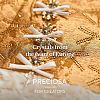 Preciosa® Crystal Hotfix Flatback Stones Y-PRC-HSS6-70530-4