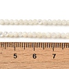 Natural White Shell Beads Strands SHEL-M021-03B-4