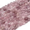 Natural Rose Quartz Beads Strands G-Q060-E21-03-2