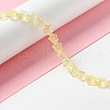 Transparent Glass Beads Strand X1-GLAA-F112-02D-2