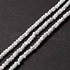 Natural Trochid Shell/Trochus Shell Beads Strands SSHEL-O001-24B-02-4