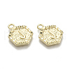 Alloy Pendants PALLOY-N157-003J-NR-2
