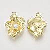 Alloy Pendants PALLOY-S121-164-2