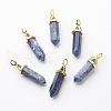 Natural Sodalite Double Terminated Pointed Pendants G-G902-B14-2