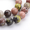 Natural Plum Blossom Jasper Beads Strands G-K152-07-10mm-2
