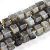 Natural Labradorite Beads Strands G-T140-34-4
