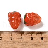 Handmade Lampwork Beads Strands LAMP-G162-05I-4