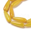 Natural Freshwater Shell Beads Strands SHEL-A004-03D-3