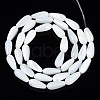 Natural Trochid Shell/Trochus Shell Beads Strands SSHEL-N034-95B-B01-2