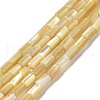 Natural Trochus Shell Beads Strands SHEL-K006-37-1