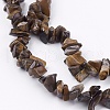 Natural Tiger Eye Stone Bead Strands G-R192-19-3