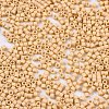11/0 Grade A Glass Seed Beads SEED-S030-1017-2