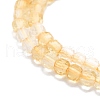 Natural Citrine Beads Strands G-P457-B01-05-2