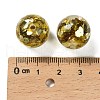 Transparent Resin with Paillette Beads RESI-G110-02F-3