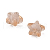 Transparent Acrylic Beads TACR-S091-12mm-05-3