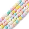 Handmade Lampwork Beads Strands LAMP-R020-02B-1