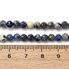 Natural Lapis Lazuli Beads Strands G-RM2025-A41-4mm-B-5