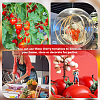 Mini Plastic Imitation Cherry Tomato DJEW-WH0042-57-6