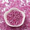 Glass Seed Beads SEED-M011-01A-21-2