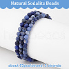 Olycraft 3 Strands Natural Sodalite Beads Strands G-OC0005-06-4