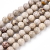 Natural Maifanite/Maifan Stone Beads Strands X-G-F353-4mm-5