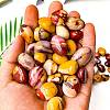 Mother's Day Gifts Natural Mookaite Healing Stones PW-WGD7FF2-18-1