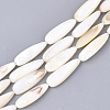 Natural Freshwater Shell Beads Strands X-SHEL-S274-73-1