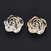Transparent Acrylic Pendants TACR-N014-010-1