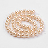 Shell Pearl Beads Strands BSHE-K011-8mm-VA066-2