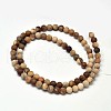 Frosted Natural Petrified Wood Round Bead Strands G-F266-07-8mm-2