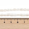 Natural Cultured Freshwater Pearl Beads Strands PEAR-P064-20E-03A-5