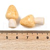 Mushroom Series Resin Display Decorations DJEW-S002-01D-3