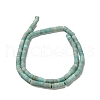 Natural Amazonite Beads Strands G-P575-B41-4x2mm-3