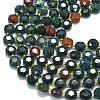 Natural Bloodstone/Heliotrope Stone Beads Strands G-C116-A143-01-3
