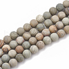 Natural Silver Leaf Jasper Beads Strands G-T106-234-1