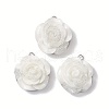 10Pcs Resin Pendants PALLOY-JF02772-04-S-1