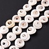 Natural Spiral Shell Beads Strands SSHEL-G023-06-2