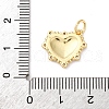 Brass Pave Cubic Zirconia with Enamel Charms KK-Q098-20G-C-3
