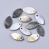 Black Lip Shell Charms SSHEL-S251-28-1